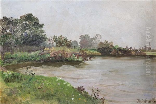 Uferlandschaft - view 1