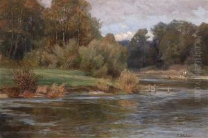 Fluslandschaft Bei Dachau, An Der Amper, Bayern by Therese Schachner