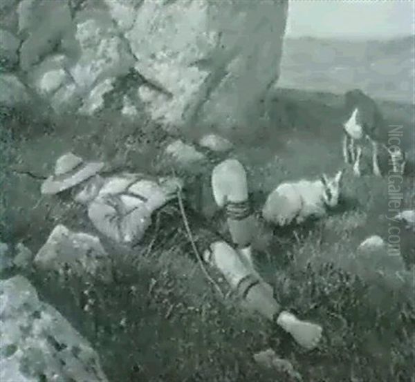Schlafender Ziengenhirte Auf Der Alm - view 1