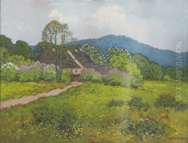 Spring Landscape - view 1