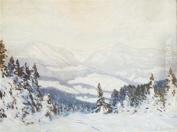 Winter Countryside - view 1
