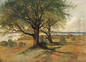 Blick Auf Den Attersee by August Schaefer von Wienwald
