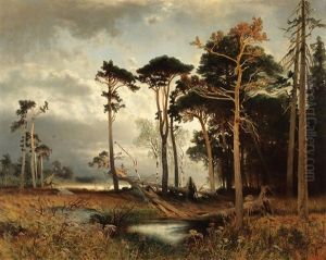 Evening Light Over A Pine Forest