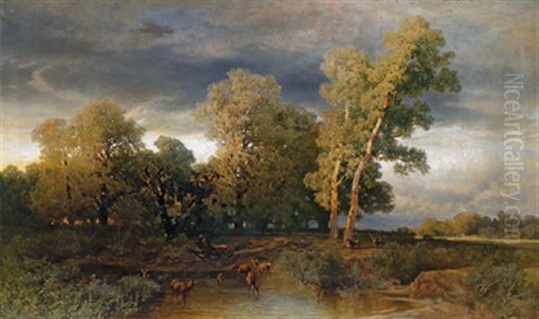 Auenlandschaft Mit Rotwild An Der Wasserstelle - view 1