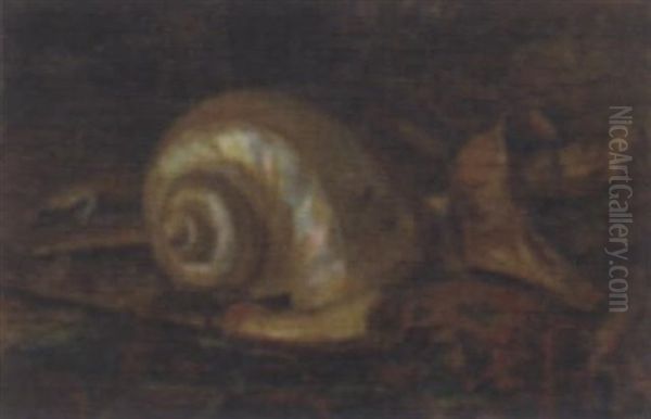 A Still Life With Shell And Keris - view 1