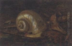A Still Life With Shell And Keris by Dirk Schaefer