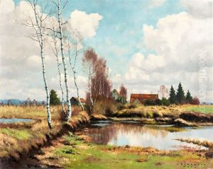 Moorlandschaft Mit Birken