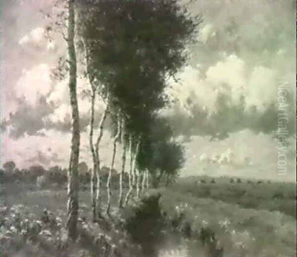 Sommerlandskab Med Birketraeerved En A - view 1