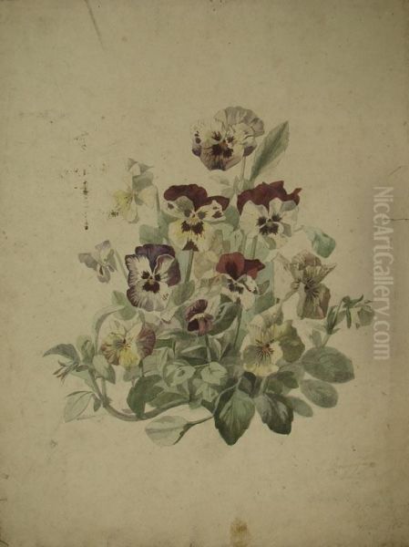 Lot De 12 Etudes De Fleurs - view 1