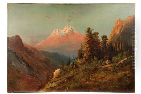 Evening On Mt. Shasta, California - view 1