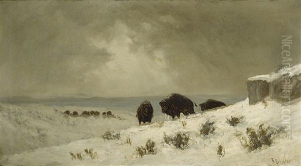 Winter On The Plains - view 1
