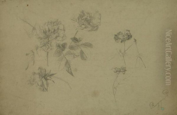Lot De 10 Etudes De Fleurs - view 1