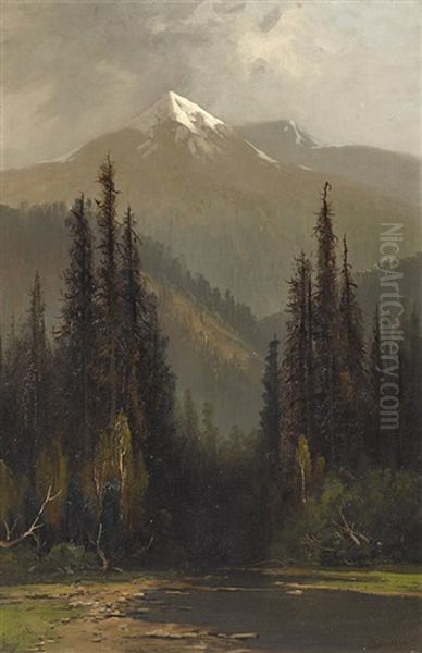 Eddy's Peak, Northern California - view 1