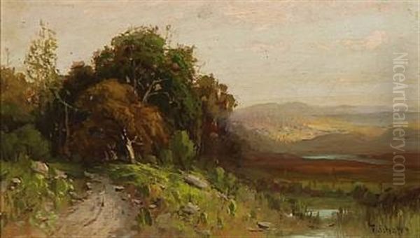 Cloudy Summer Landscape - view 1