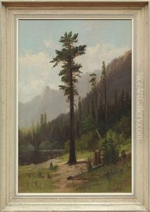 Lone Pine by Frederick Ferdinand Schafer