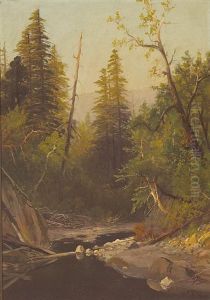 Near Felton, Santa Cruz Mountains, California by Frederick Ferdinand Schafer