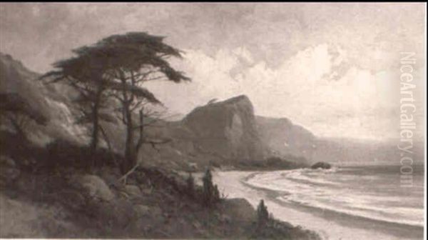 Coast Near Monterey, California - view 1