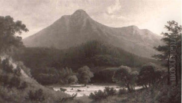 View Of Mount Tamalpais - view 1