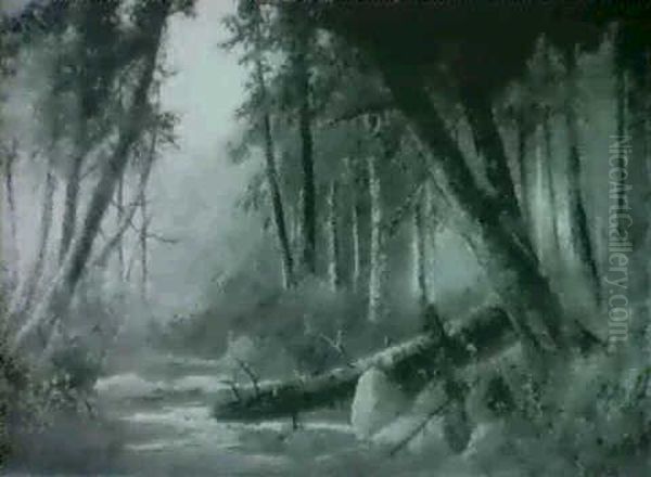 On Slate Creek, California - view 1