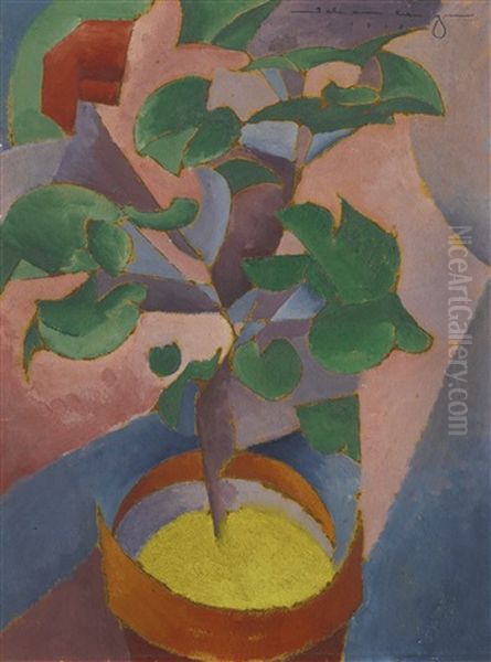 Still Life - view 1