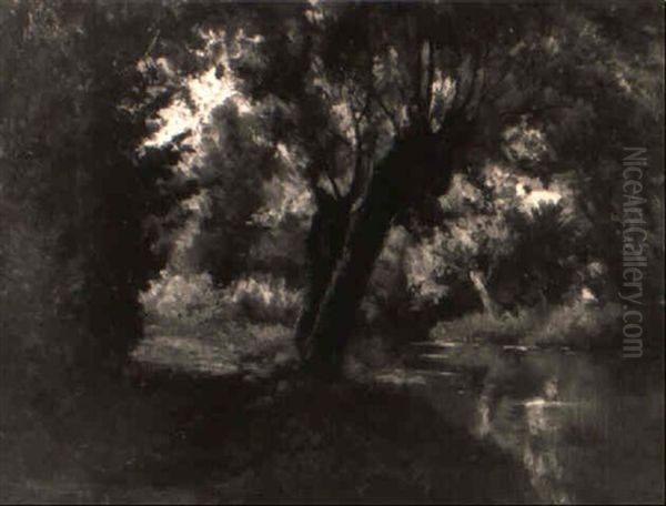 Le Ruisseau De Falmagne - view 1