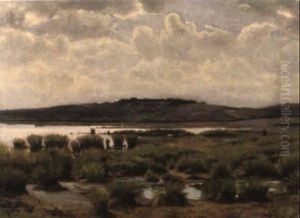 Veenlandschap