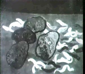 Stilleben Mit Kartoffeln by Josef Scharl
