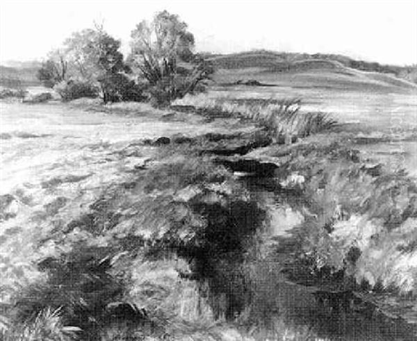 Fruhlingslandschaft Mit Bachlauf - view 1