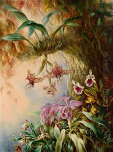 Wilde Orchideen