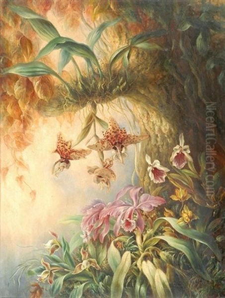 Baumstrunk Mit Wilden Orchideen - view 1