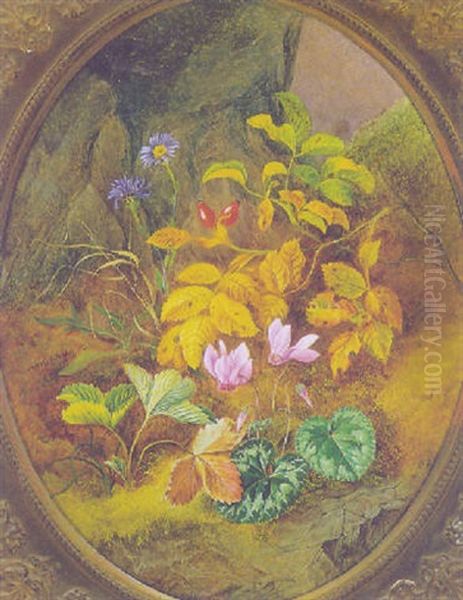 Bluhender Waldboden - view 1