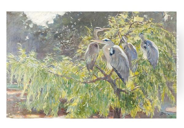 Animaleur Subject With Grey Herons On A Tree - view 1