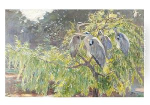 Animaleur Subject With Grey Herons On A Tree by Ferdinand Schebek