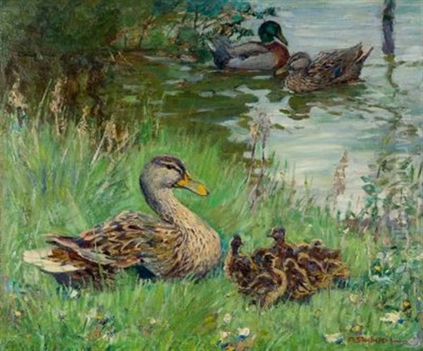 Enten Am Teich - view 1
