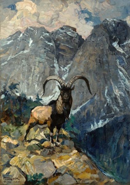 Prachtiger Steinbock - view 1