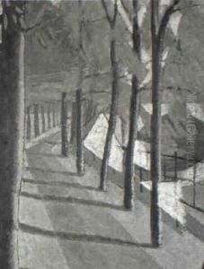 Shadows Cast On A Tree-lined Path Shadows Cast On A Tree-lined Path