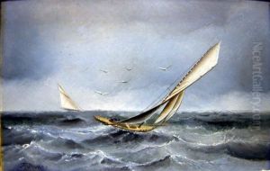 Racing Yachts On A Rough Sea