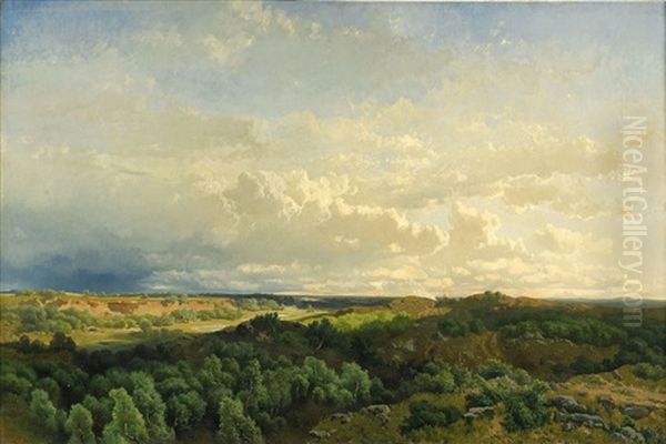 Sommerliche Landschaft - view 1