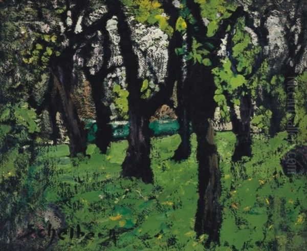 Park (city Park) - view 1