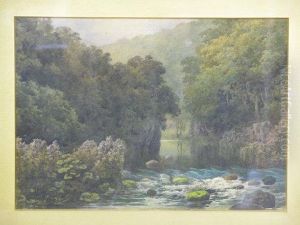 "in Millers Dale, Derbyshire" River Scene Withoverhanging Trees by Samuel Bourne