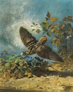 Schnepfe by Carl Von Scheidlin