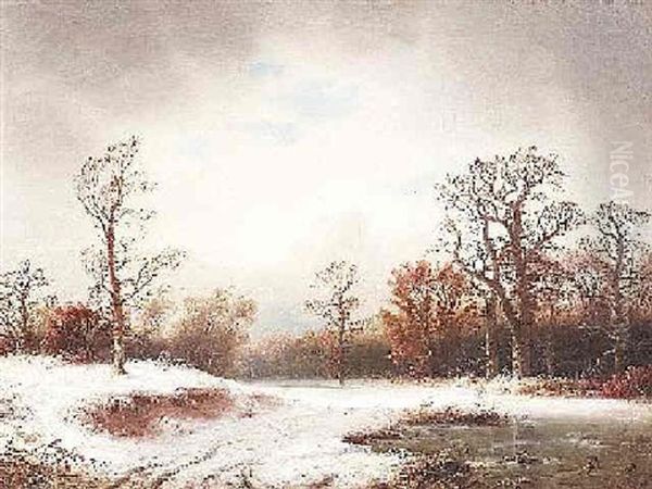 Winterliche Waldlandschaft Mit Vereistem Bachlauf - view 1
