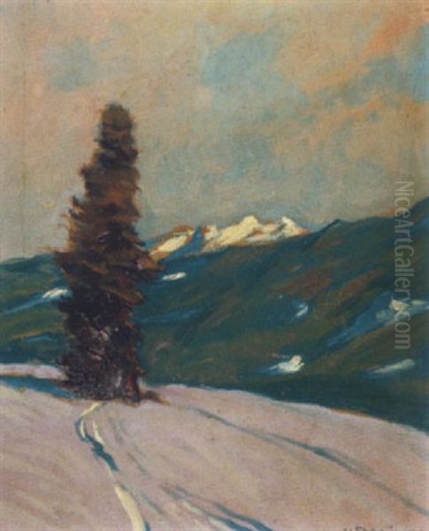 Einsamer Baum In Berglandschaft - view 1