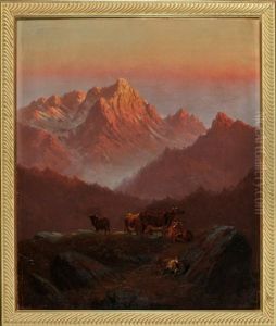 Almwiese Im Gebirge Mit Kuhen Und Ziegen Bei Sonnenuntergang