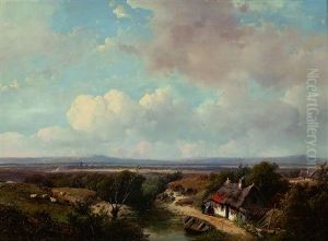 A Panoramic Summer Landscape