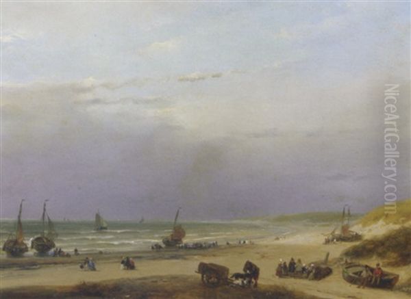 Daily Activities On The Beach - view 1