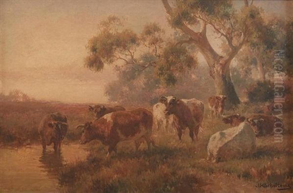 Cattle Beside A Watering Hole - view 1