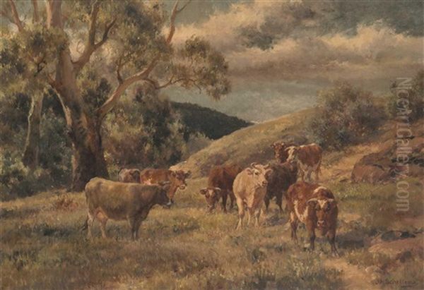 Grazing Cows - view 1