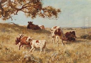 Cattle With Calves