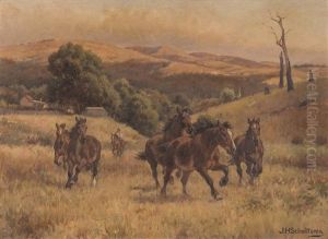 Horses Galloping Horses Galloping